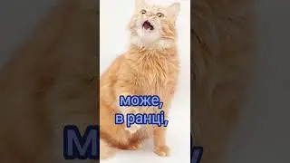 Нехай!