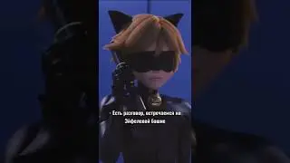 Котик очень боится Миледи😆😅