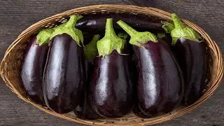murder dance but eggplant sings it
