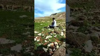 TARIK KARA __ ACEM KIZI