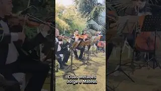 Duas Metades  #jorgeemateus #noivos #casamento #noivas #noiva #casamentos #instrumentalmusic