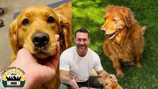 Lucy came to me broken down but she never gave up and she's now adopted! | The Asher House