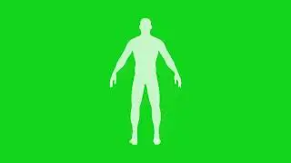 Human Body X Ray Animation l Human Body Scanning Green Screen l HD