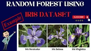 Example of machine learning classification technique on Iris Dataset using Random Forest