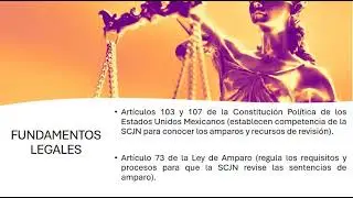 ¿Es posible frenar la reforma al Poder Judicial de la Federacion?