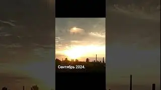 31 октября 2024 г.