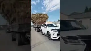 КАЗАХСТАН. Lexus 570 ВЕЗЕТ СЕНО!!!