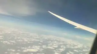 fly safe