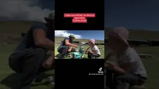 САРЫ ЖАЗДА САРЫ КЫЗДЫН КЫЗМАТЫ