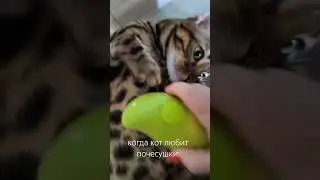 #music