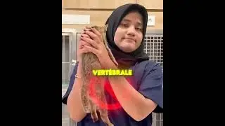 NEVER HOLD CATS LIKE THIS! 😱❌