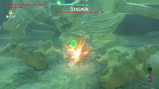 Zelda Breath of the Wild  DLC All Challenges of Final Trials - Legendary Master Sword