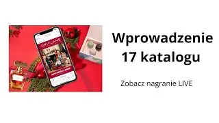 Wprowadzenie 17 katalogu