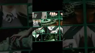 эдит по факультиту Слизарин
