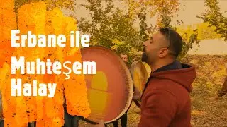 Erbane Eşliğinde Muhteşem Halay