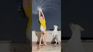 Waterfall Trend | Trending Reels #waterfall #trending #shorts #viralvideo #viralhacks #shortsfeed