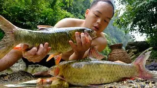 Duong made an underwater shotgun for fishing, Hunt and catch many big fish