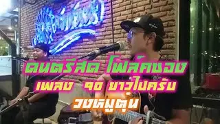 ดนตรีสด โฟล์คซอง เพลง90 วงหมูตู่น