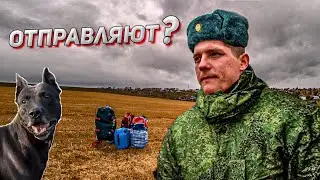 Получил ли повестку в военкомат? забирают ли на войну? Мобилизация в россии сегодня / 