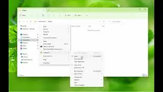 Windows: Select files once and copy them multiple times using Copywhiz