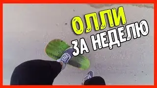 ОЛЛИ ЗА НЕДЕЛЮ