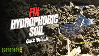 How to Fix Hydrophobic Soil