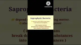 Chemo-Heterotrophs Classification Of Bacteria Based On Nutritional Requirements 