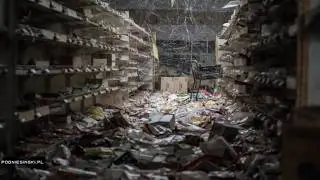 Michio Kaku 2018 Commentary on the Fukushima Disaster, New Updates