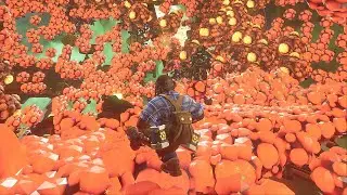 Don't eat the wrong mushrooms!