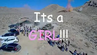 Gender Reveal