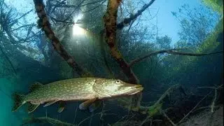 скоро на ютубе поход на Болву с рыбалкой и ночевкой.