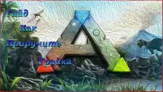 ГАЙД ДЛЯ НОВИЧКОВ! # ЛЕГКОЕ ПРИРУЧЕНИЕ ТРАЙКА И СРЕДНЕЙ ЖИВНОСТИ!