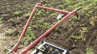 Грохотная двух эксценриковая картофелекопалка в работе.