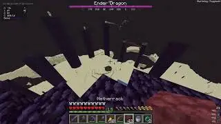 Me beating the Ender Dragon, cuz why tf not