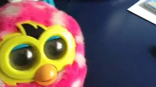 Mister Furby #1