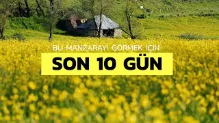 Bu manzarayı görebilmek için 10 gün kaldı
