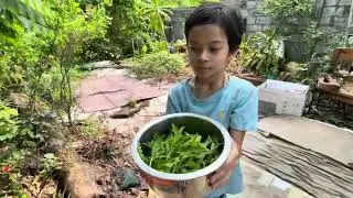 ผัดกะเพราหมูสับ | พีชช่วยพ่อเตรียมวัตถุดิบครับ