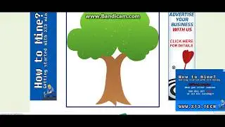 Лучший криптовалютный кран KNOLİX COİN