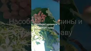 #музыка #гномы #боже #тренд #существа #рыцари #юмор #мем #жиза #прикол сходил в поход