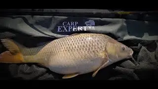 Carp Expert lebegő halmérlegelő