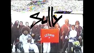 DesouzaZT - SULLY