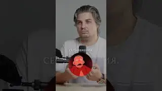 Как мозг и тело реагируют на стресс и угрозы?