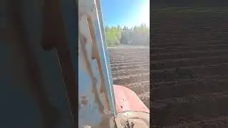 МТЗ 80 1975г.в. держит нагрузку лучше новых)