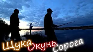 РАЙ ДЛЯ РЫБАКА/ НОЧЬ НА ПЕЧОРЕ ЗАБРАЛИСЬ В ГЛУБИНКУ