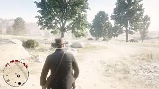 RDR II or 2 for PS4 John Marston or Jim Milton sleep and shave at Beecher's Hope.