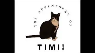 The Adventures of Timi 5: Tidying Up