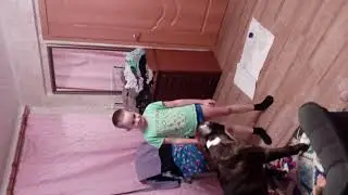 Прыжки на мотрас