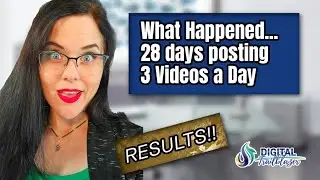28 Day - 3 Videos a Day Challenge: Full Results & Lessons Learned