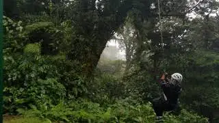 Tarzan Lori