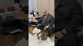 Амстафф Бой в парфюмерном магазине 